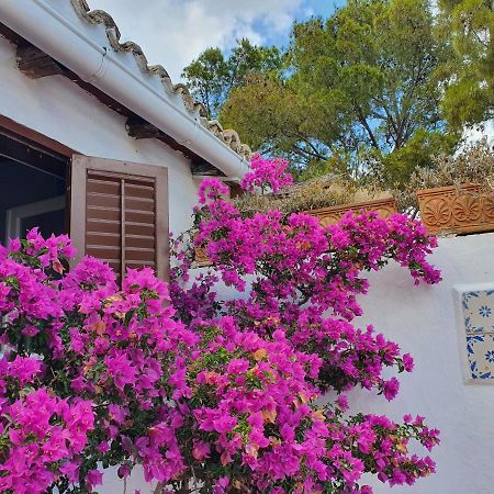 Villa Tonnara San Vito Lo Capo Exterior foto